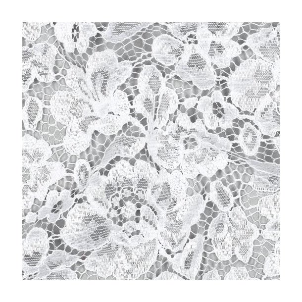 Lace two-side Scallop, Optical white