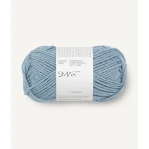 Smart, Blue Hydrangea