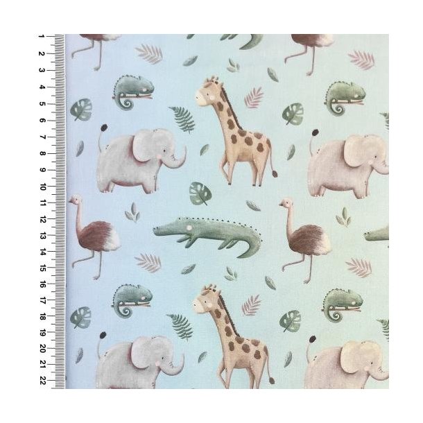 Poplin digital, Animal