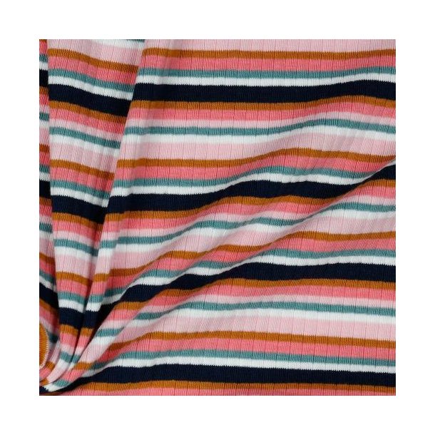 Rib Yarn dyed stripe, Multicolour