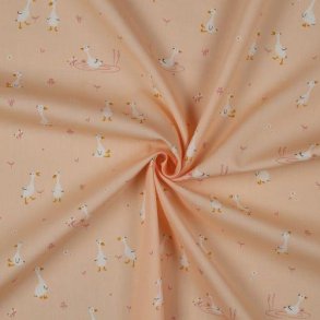 Fine poplin Goose, Powder