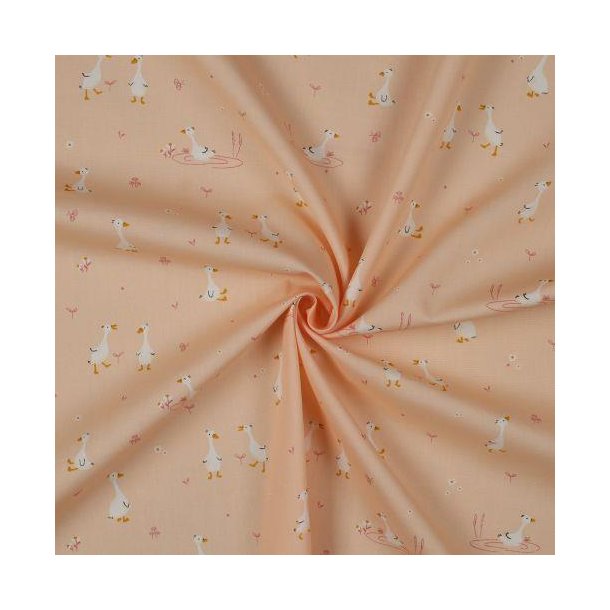 Fine poplin Goose, Powder