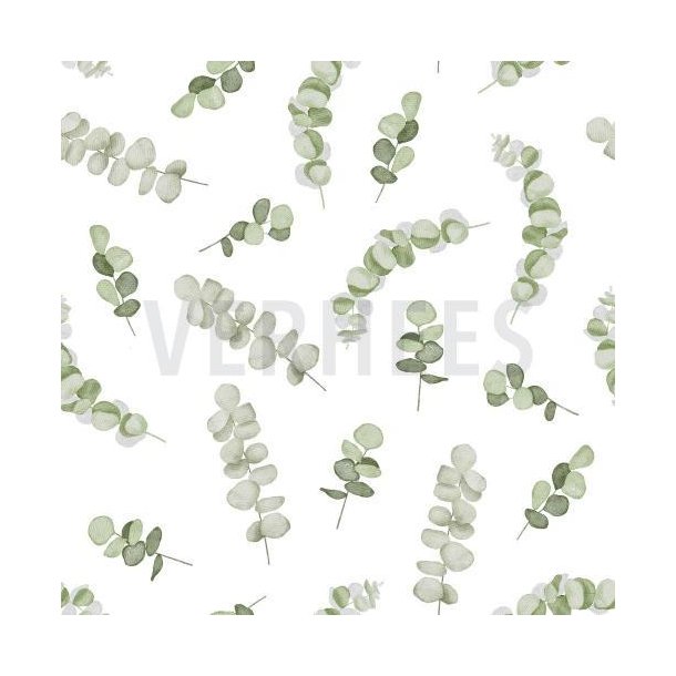 Canvas Digital Eucalyptus, White/green