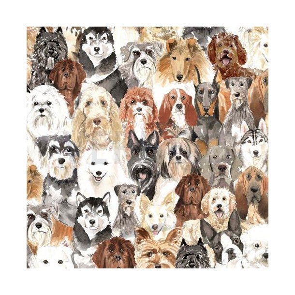 Canvas digital Dogs, white