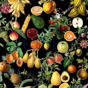 Canvas digital Fruit, black