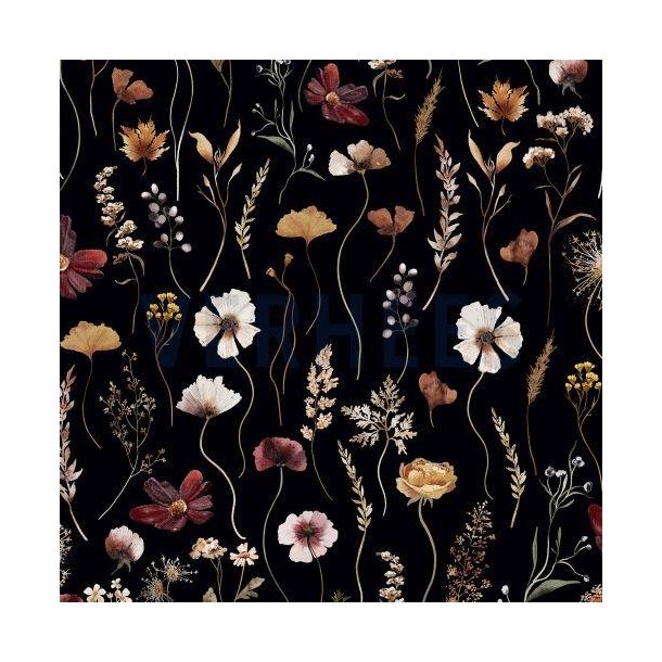 Canvas digital Wild flowers, black
