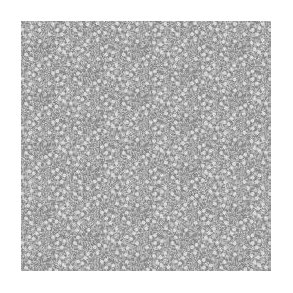 Poplin minimals, Grey