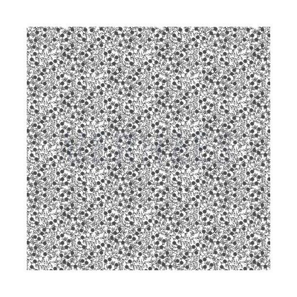 Poplin minimals, White/black