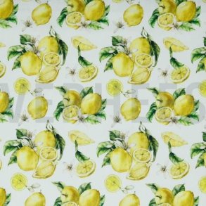 Canvas digital Citroner