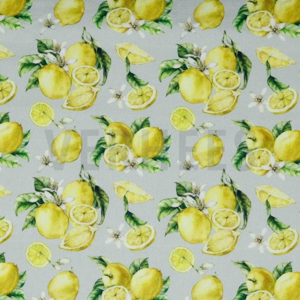 Canvas digital Citroner