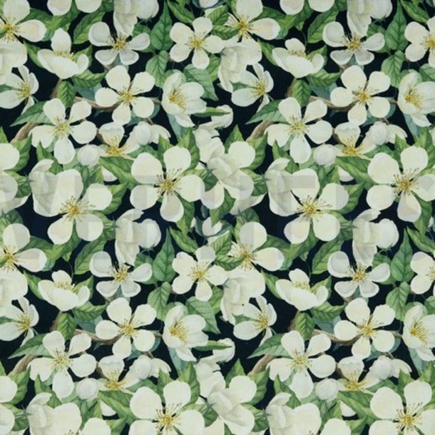 Canvas digital Blossom