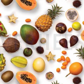 Canvas  digital m/Frugt