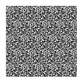 Poplin Leaves  Black