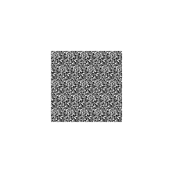 Poplin Leaves  Black