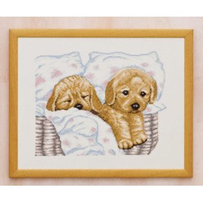 Hvalpe i kurv, h�rl�rred