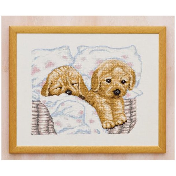 Hvalpe i kurv, h�rl�rred