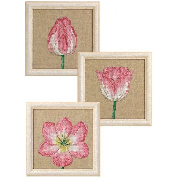 Tulipan i 3 designs