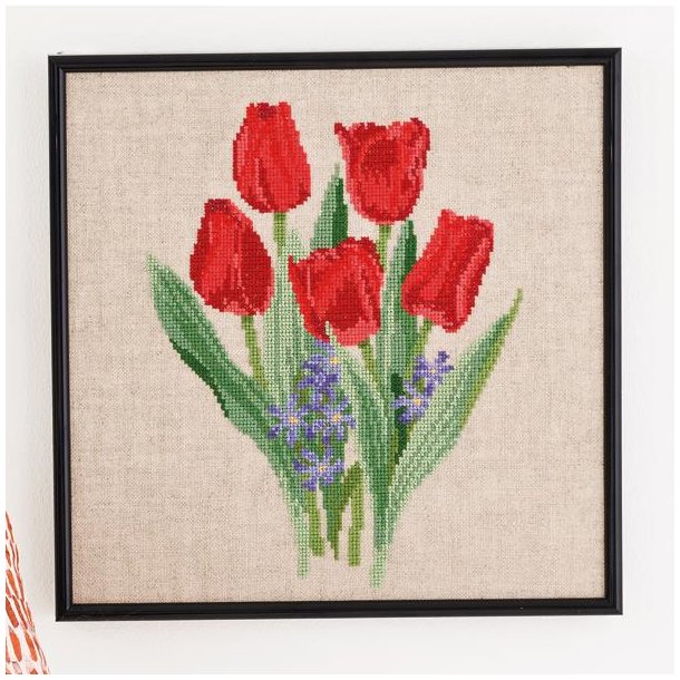 R�de Tulipaner, billede
