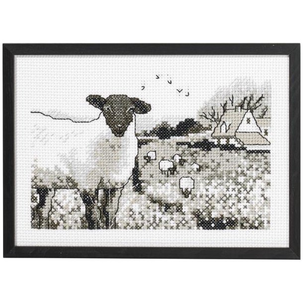 F�r p� marken, billede