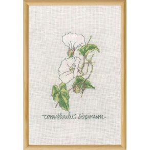 G�rdesnerle, billede