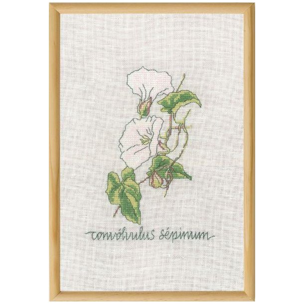 G�rdesnerle, billede