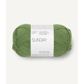 Sunday, Vineyard green