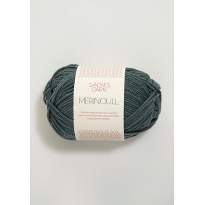 Sandnes Merinould, Petroleum