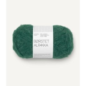 B�rstet Alpakka, Rain forest