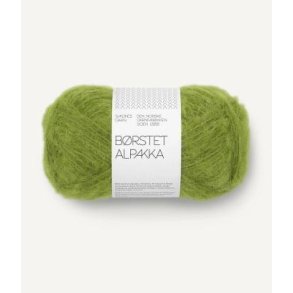 B�rstet Alpakka, Matcha