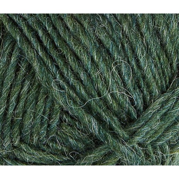 Lett lopi Lyme grass