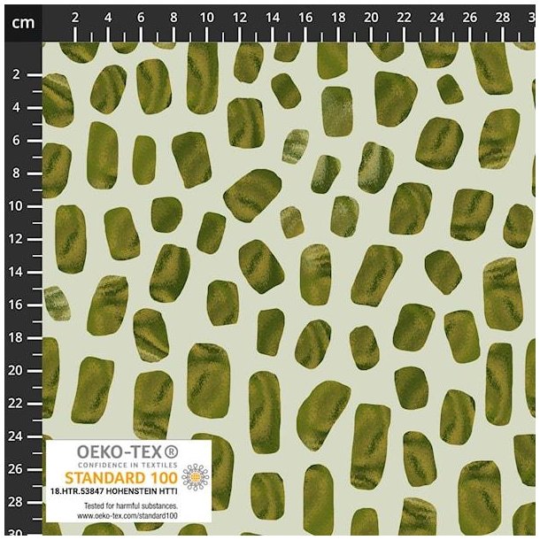 Light and Lush Spring