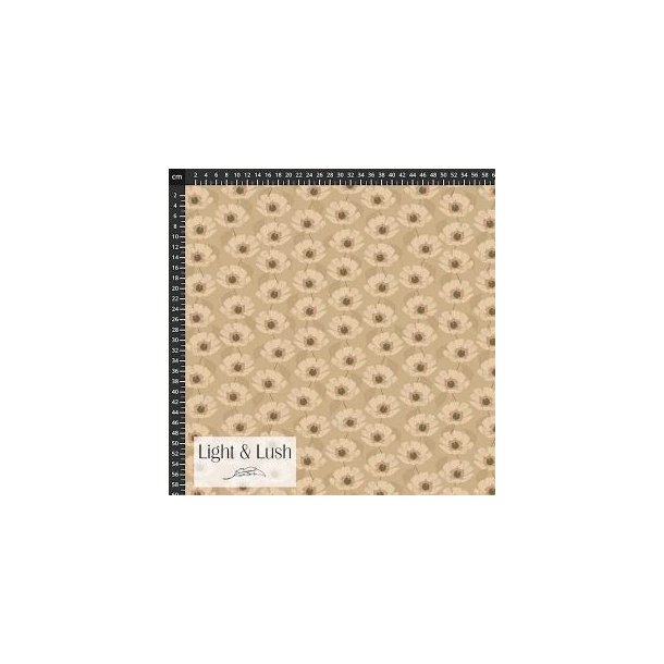 Light and Lush Winter, Sand