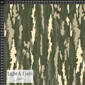 Light and Lush Winter,  Forest