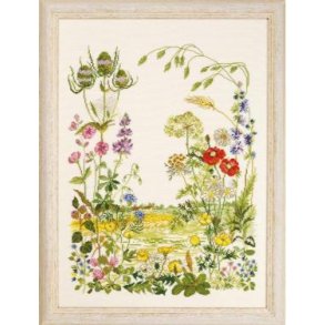 Edderkoppespind, billede