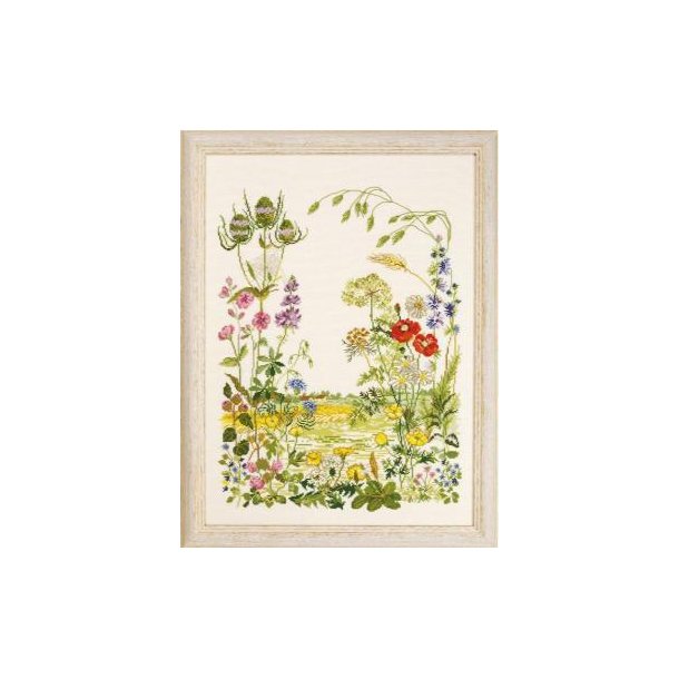 Edderkoppespind, billede