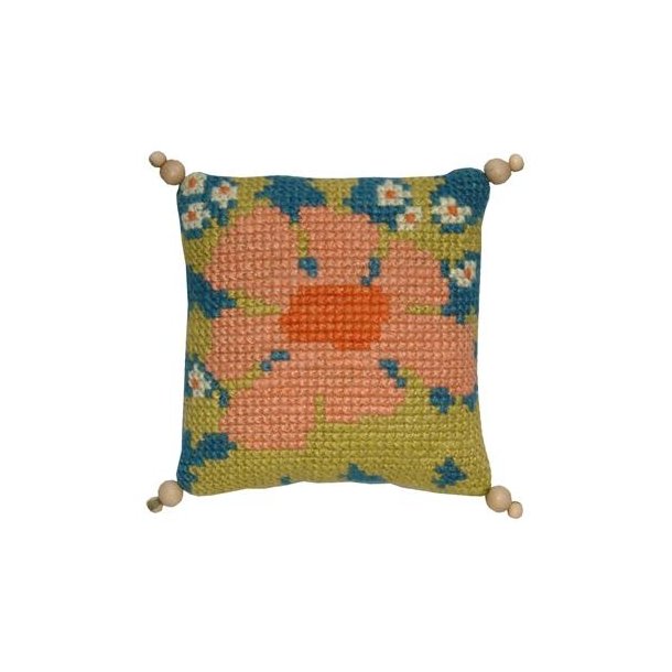 Abrikos blomst p� bl� bund