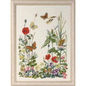 8 sommerfugle, billede