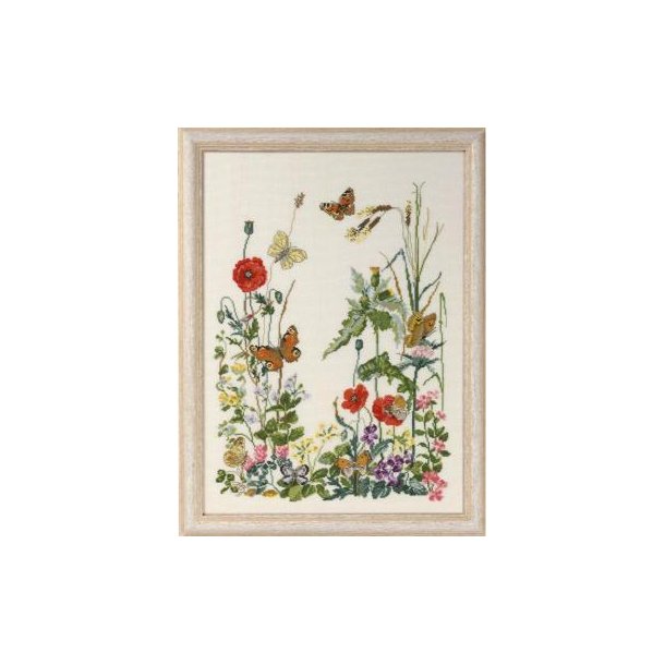 8 sommerfugle, billede