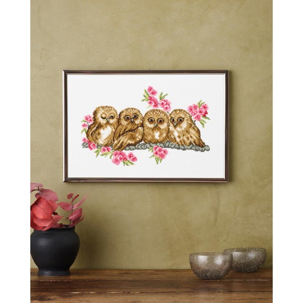 Pygm�ugler, billede