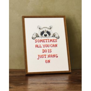 Vaskebj�rn, billede