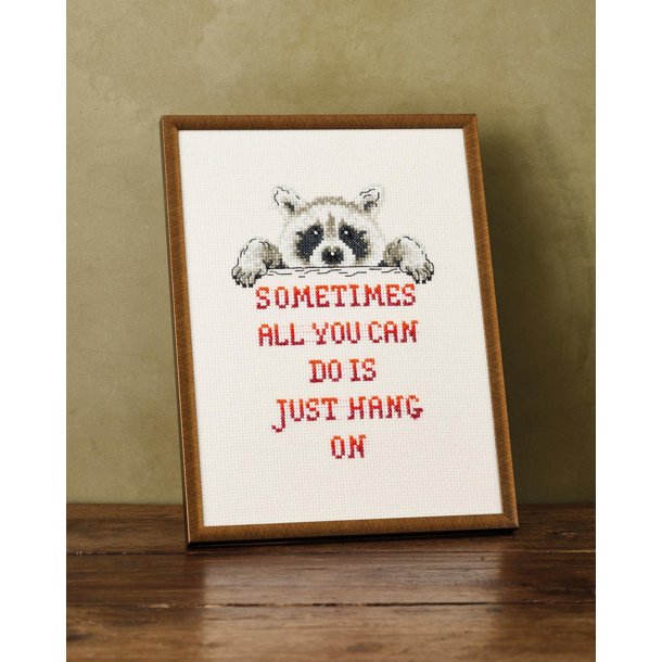 Vaskebj�rn, billede