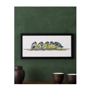 Bl�mejser, billede