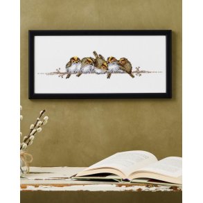 Fuglekonger, billede