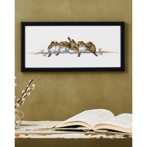 Fuglekonger, billede