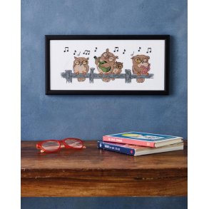 Ugle serenade, Billede