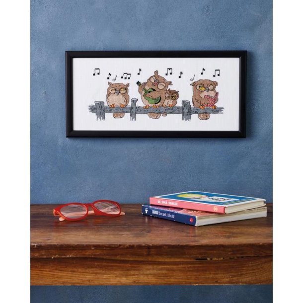 Ugle serenade, Billede