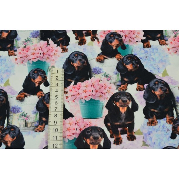 �kotex bomulds jersey m/Gravhunde