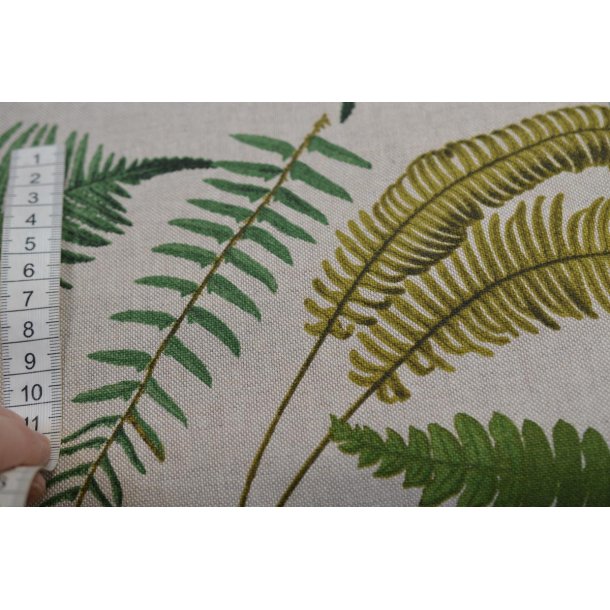 Halv panama Bregne gr�n