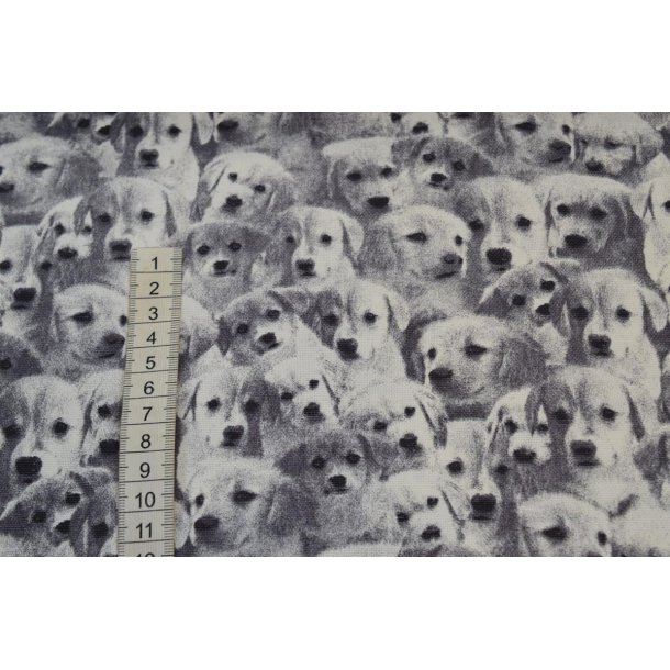 Canvas Gr�lig m/Hundehvalp