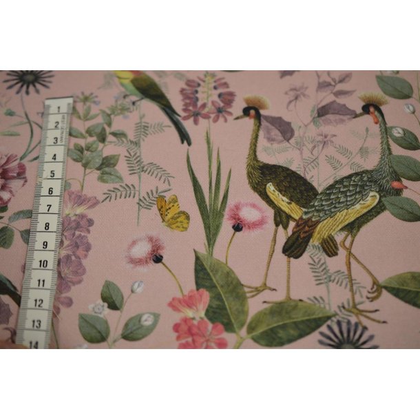 Canvas Botinical garden Rosa